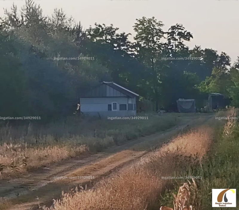 Foto auflisten