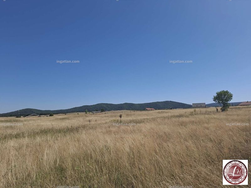 Foto auflisten