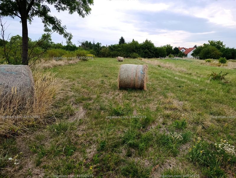 Foto auflisten