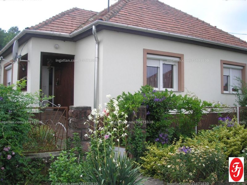 Foto auflisten