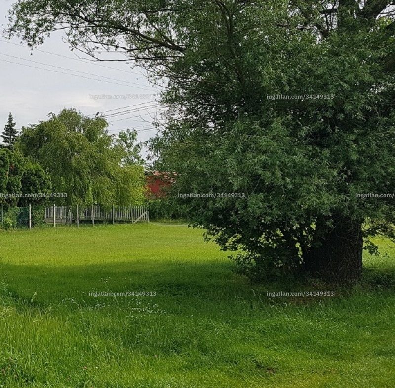 Foto auflisten