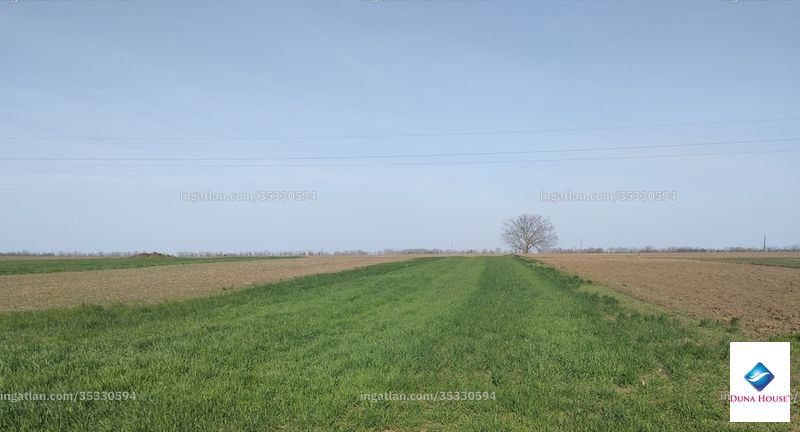 Foto auflisten