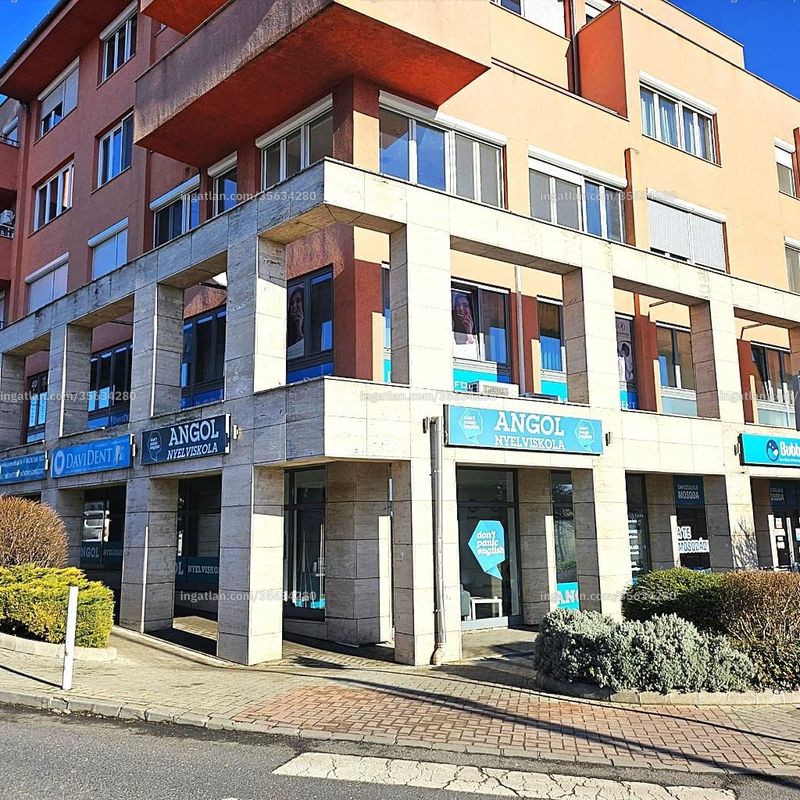 Ingatlan kép