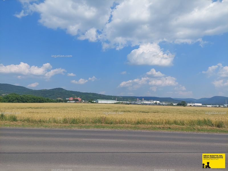 Kép az ingatlanról