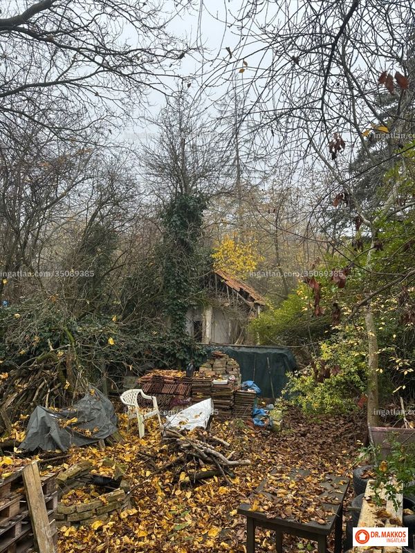 Foto auflisten