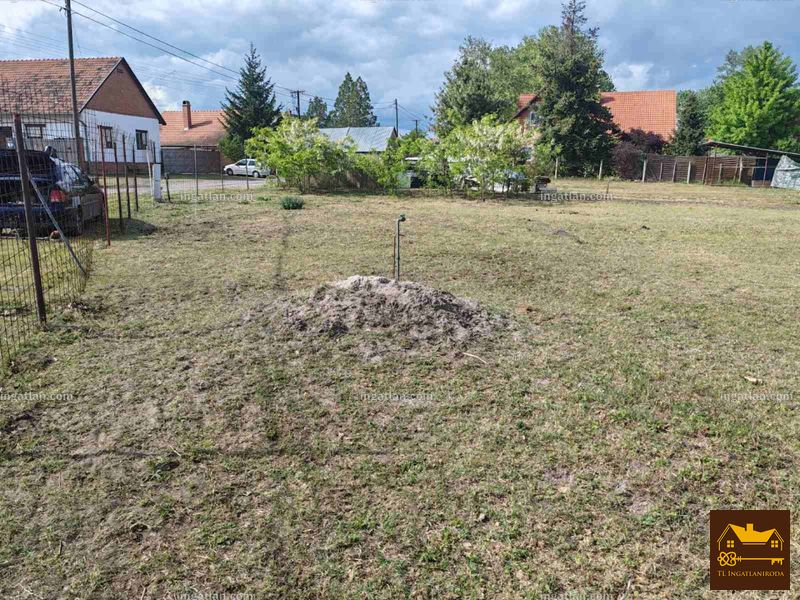 Sándorfalva - 4. kép