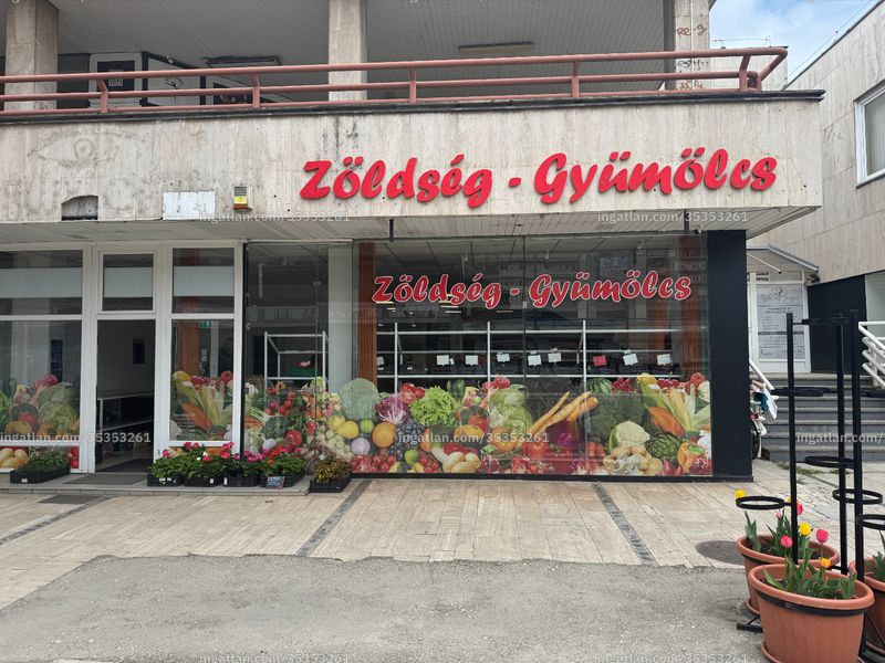 Kép az ingatlanról