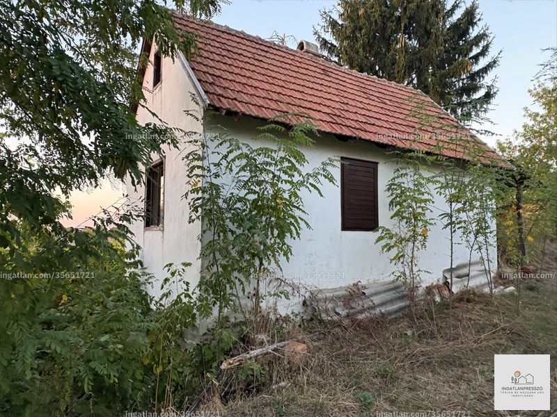 Foto auflisten