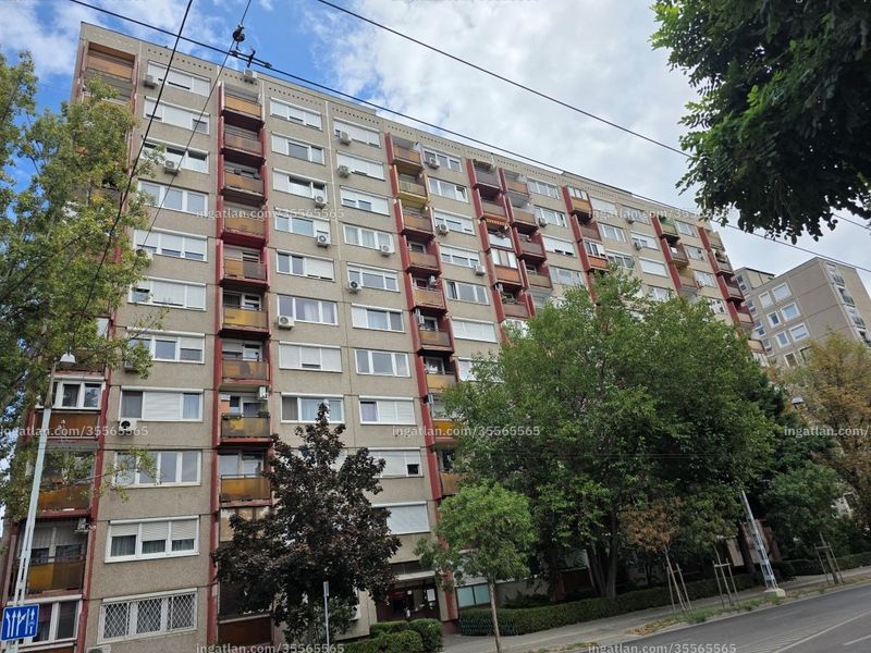 Ingatlan kép
