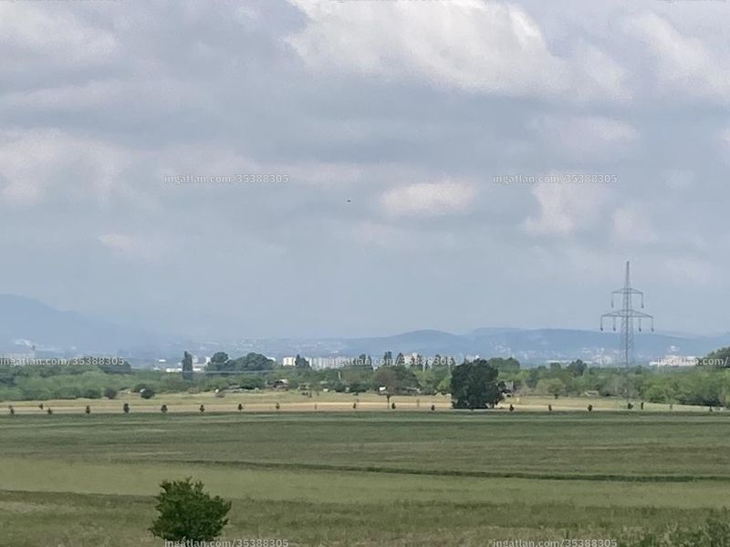 Foto auflisten