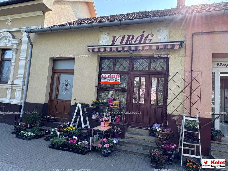 Kép az ingatlanról