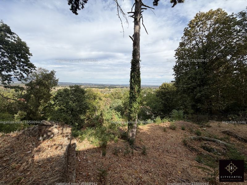 Bild über die Immobilie