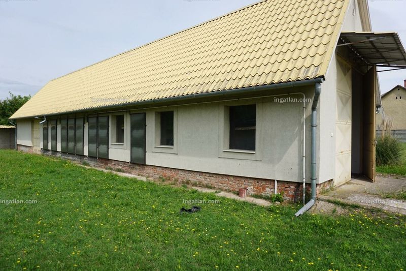 Foto auflisten