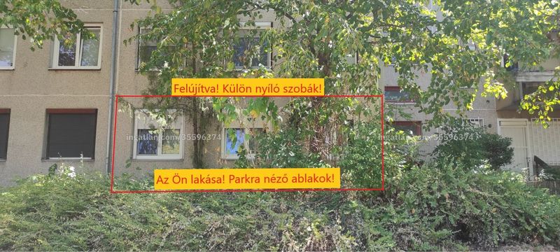 Kép az ingatlanról