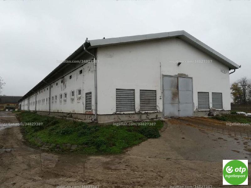 Kép az ingatlanról