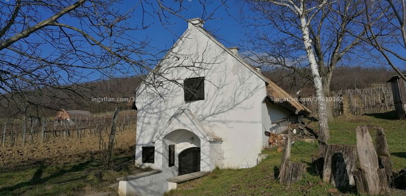 Hirdetés fotója