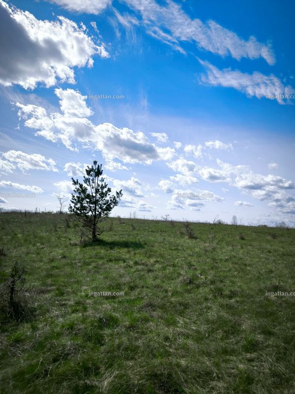 Foto auflisten