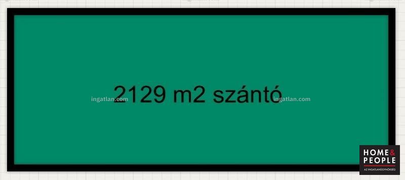Foto auflisten