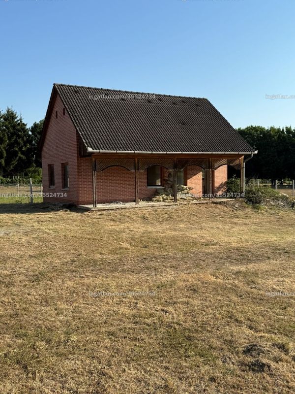 Ingatlan kép