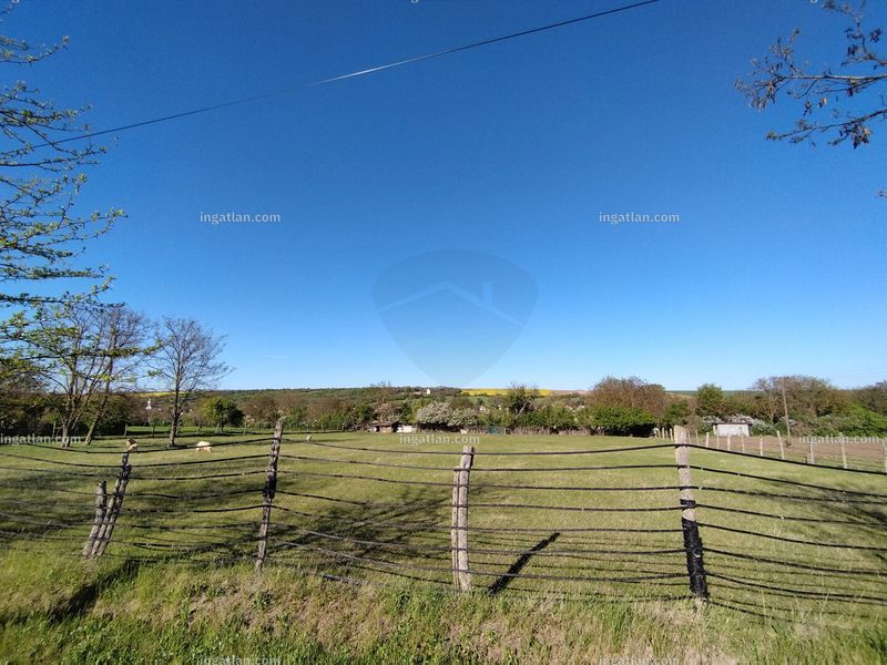 Hirdetés fotója
