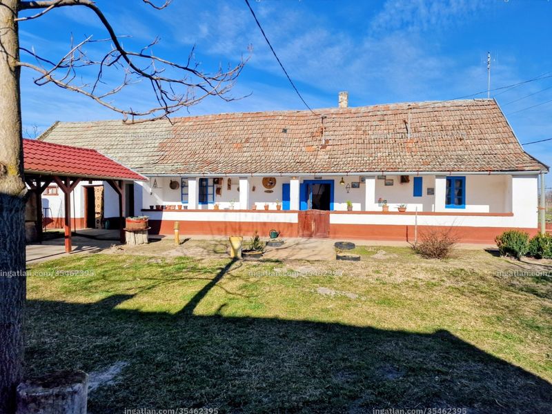 Ingatlan kép