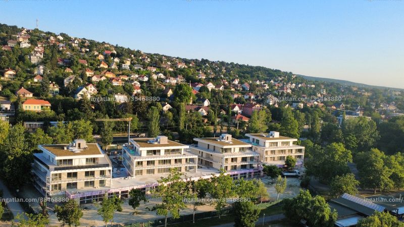 neighborhood