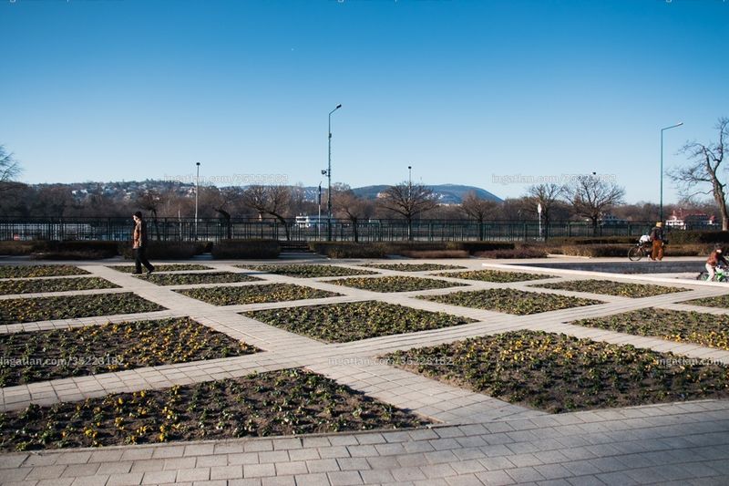 Foto auflisten