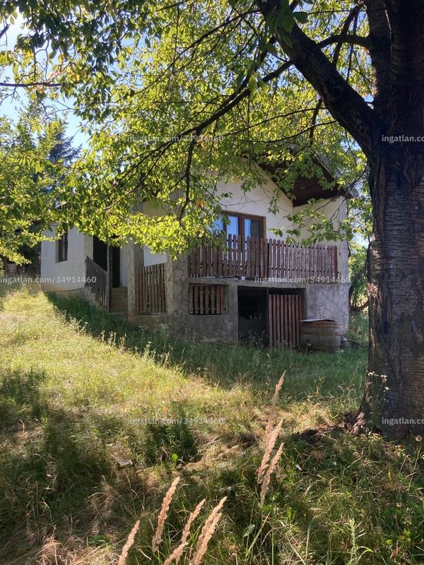 Kép az ingatlanról