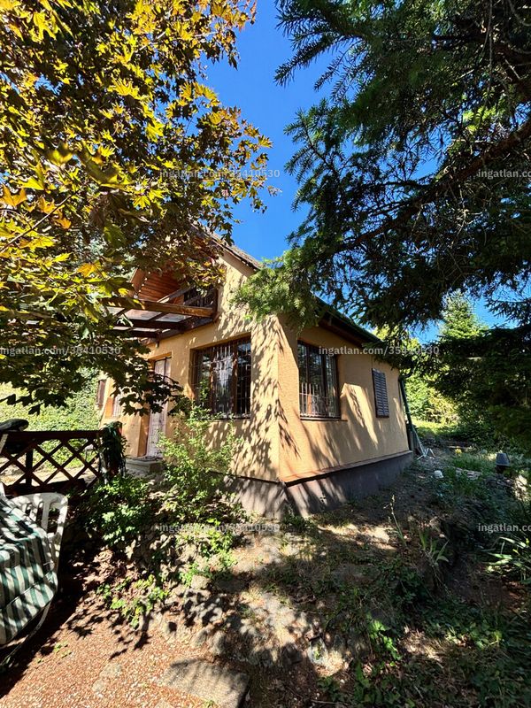 Hirdetés fotója