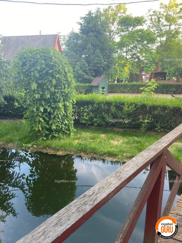 Foto auflisten
