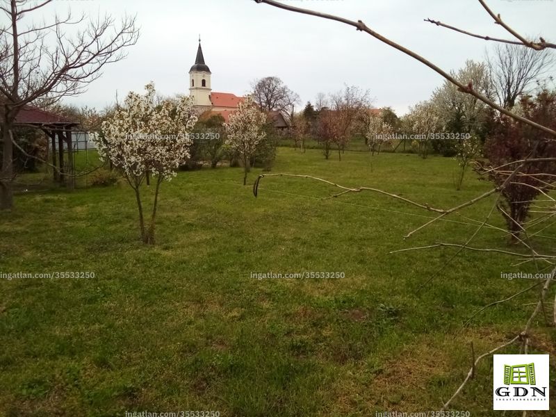 Foto auflisten