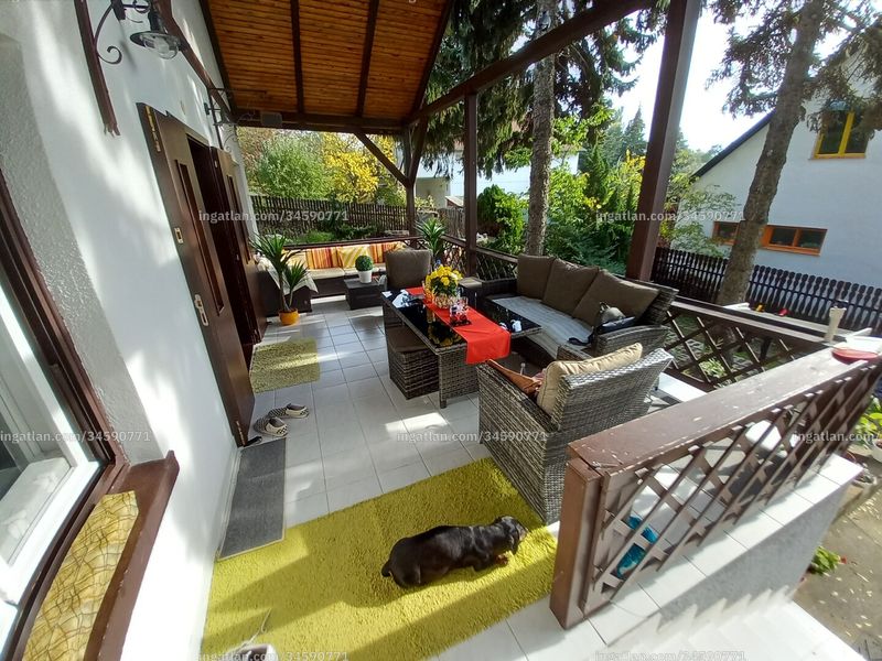 terrace