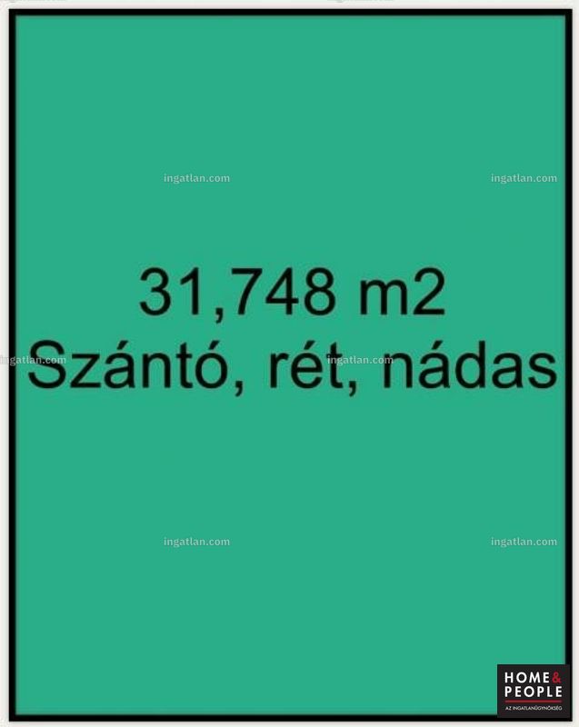 Foto auflisten