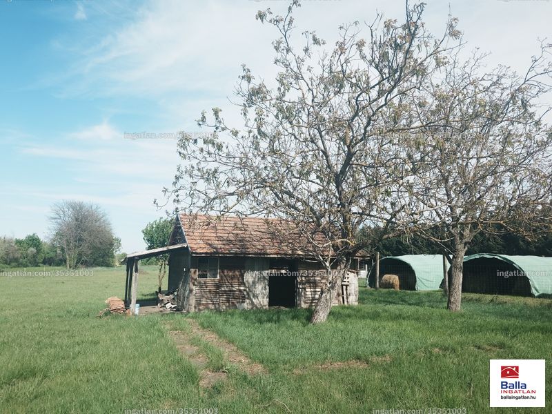 Foto auflisten