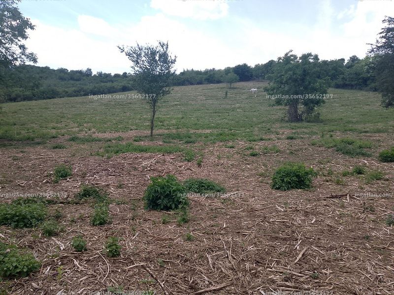 Umgebung