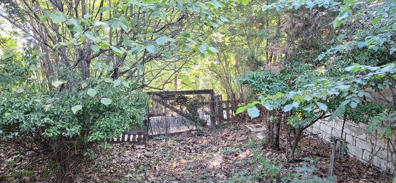 Hirdetés fotója