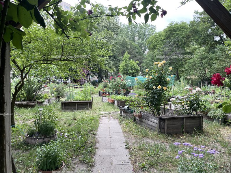 neighborhood