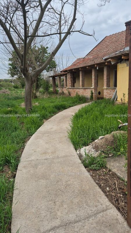 Ingatlan kép