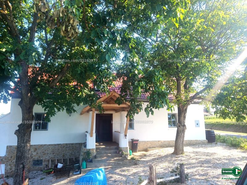 Ingatlan kép