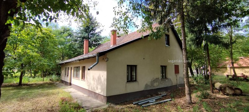 Kép az ingatlanról