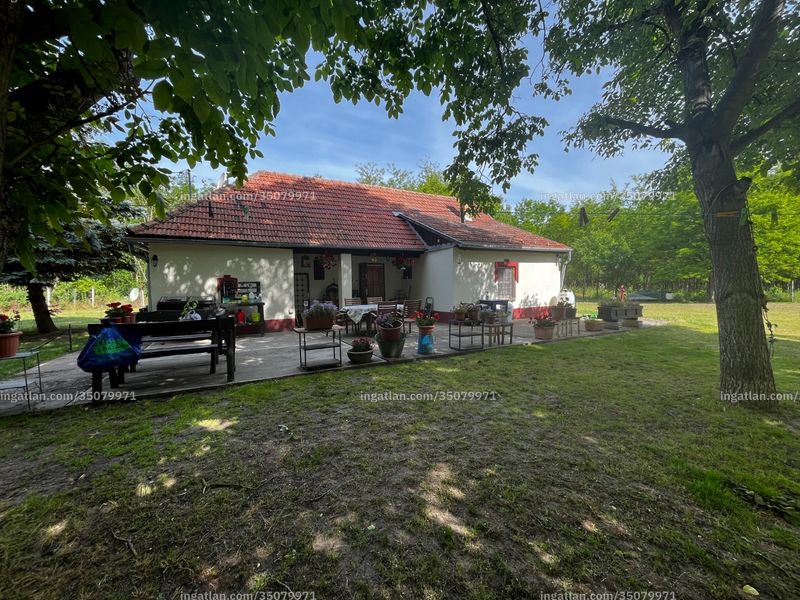Foto auflisten