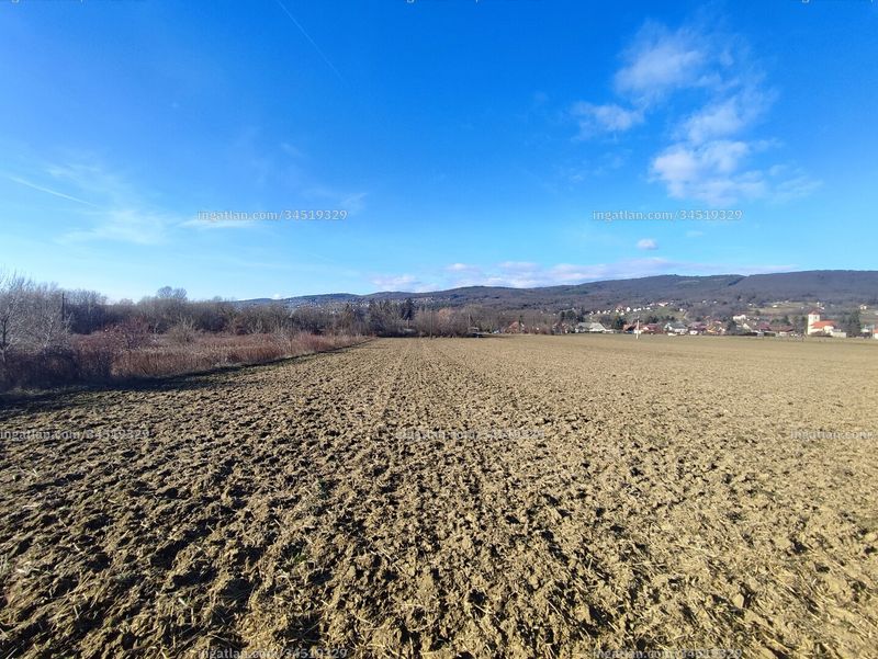 Foto auflisten