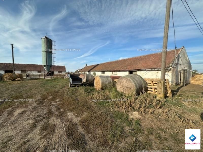 Foto auflisten