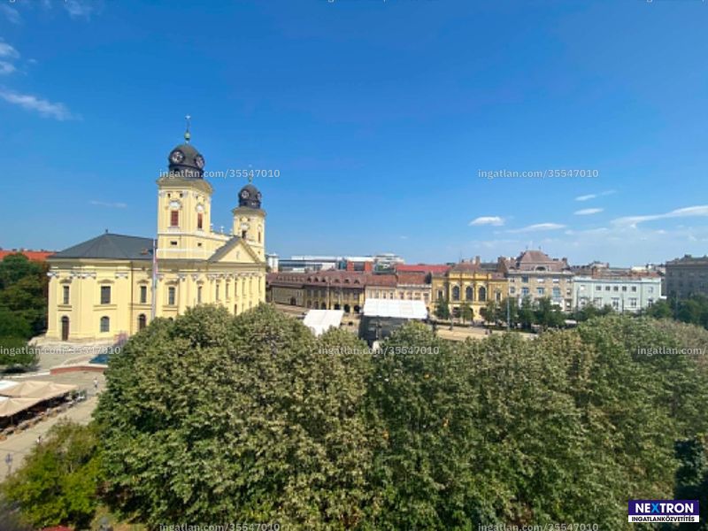 view