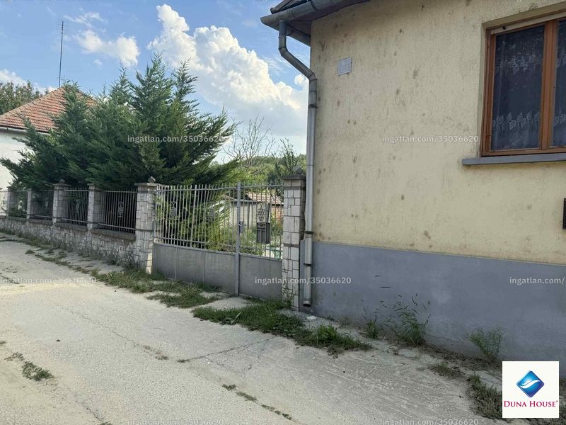 Sárisáp - 2. kép