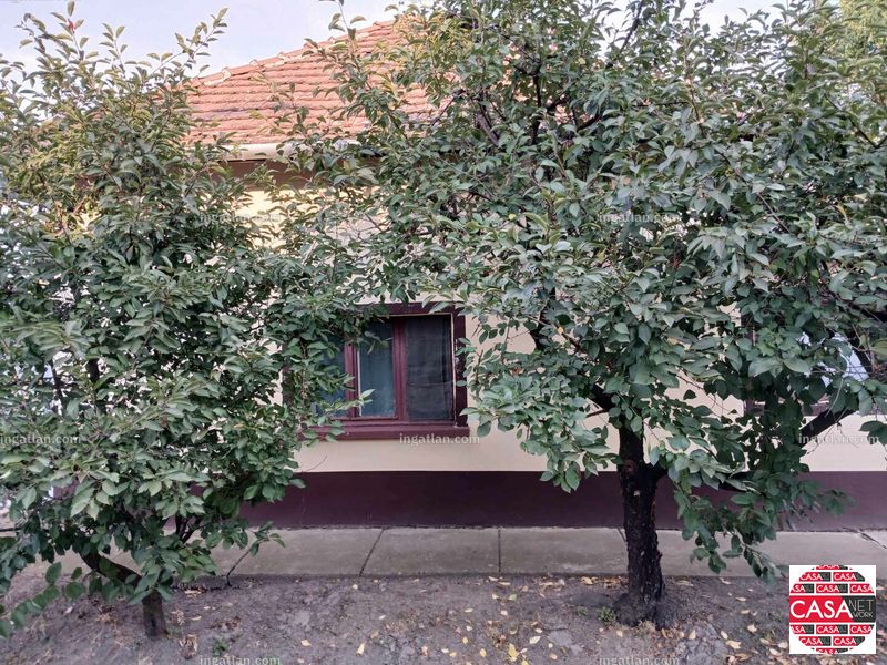 Foto auflisten