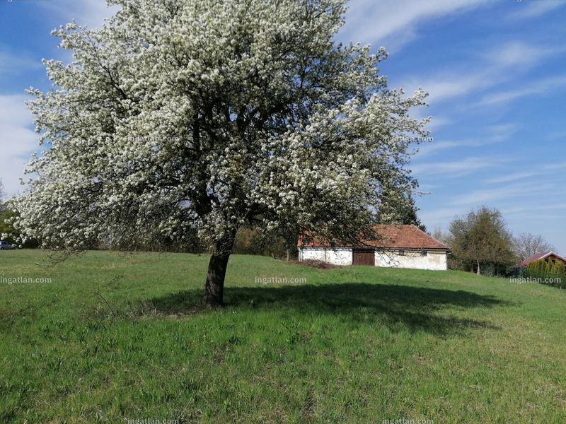 Foto auflisten