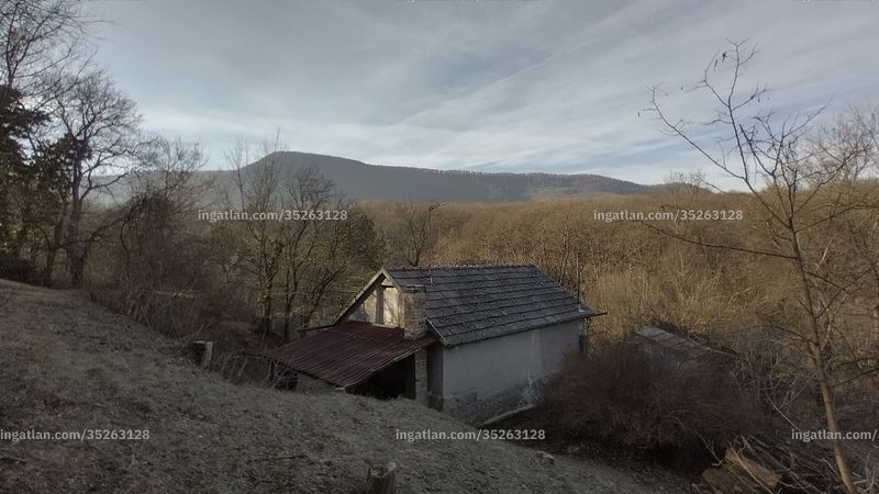 Foto auflisten