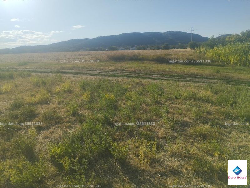 Hirdetés fotója