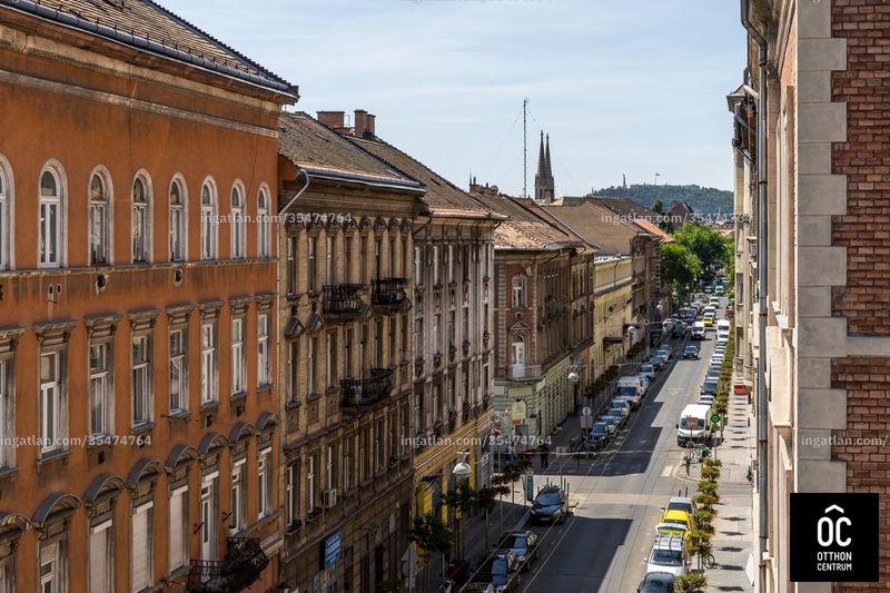 kilátás